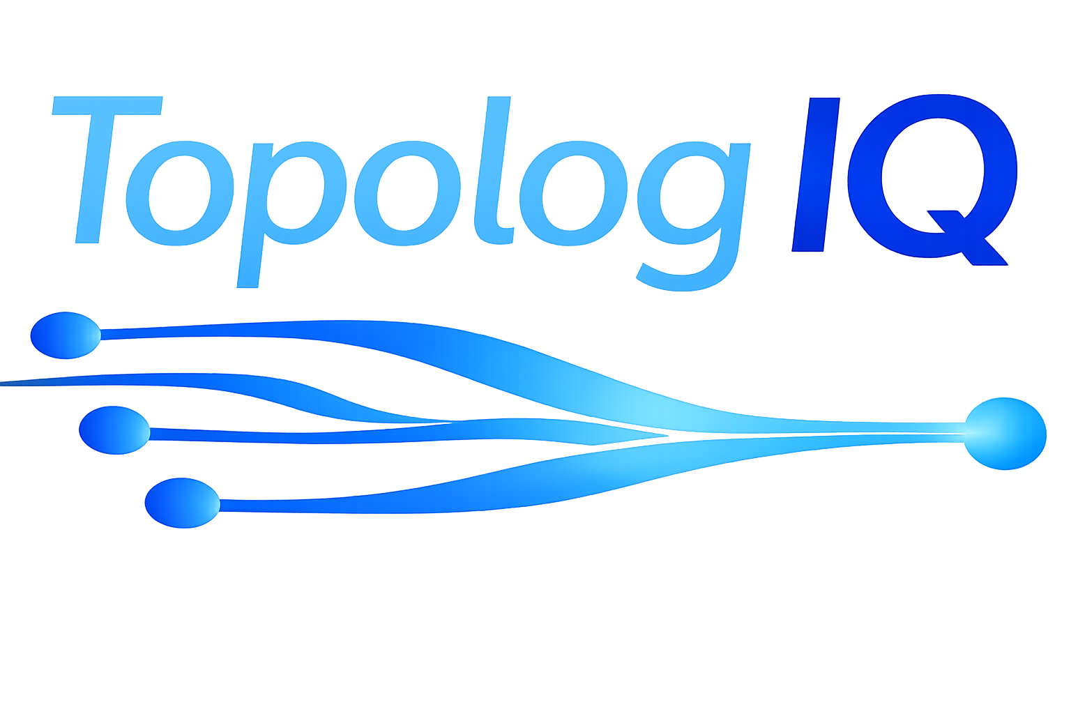 TopologIQ
